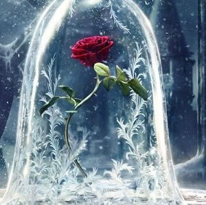 Meet your Posher, Annie